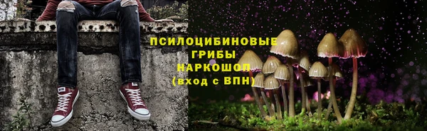 spice Абаза